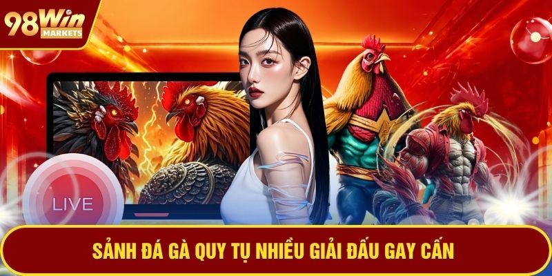 Sảnh đá gà quy tụ nhiều giải đấu gay cấn
